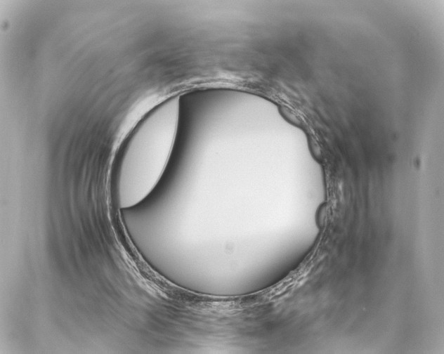 X0000088420102200705220847