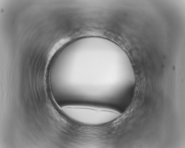 X0000088420104200705220847