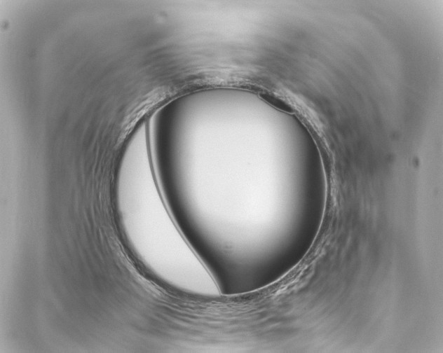 X0000088420105200705220847