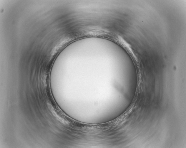 X0000088420106200705220847
