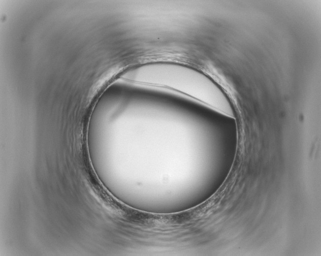 X0000088420107200705220847