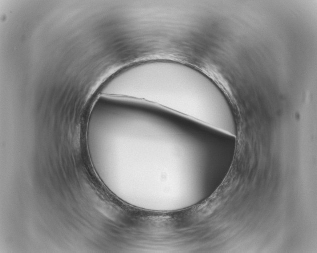 X0000088420108200705220847
