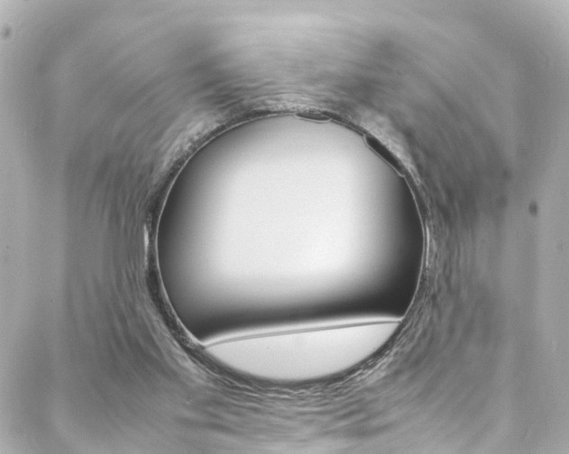 X0000088420109200705220847