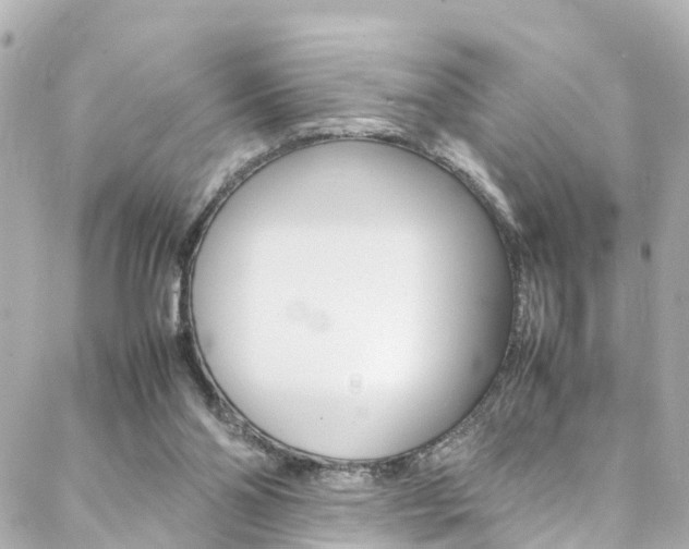 X0000088420110200705220847
