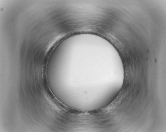 X0000088420112200705220847