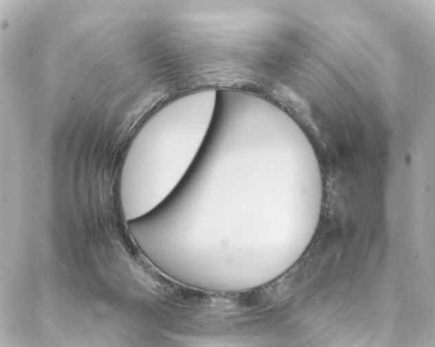 X0000088420114200705220847