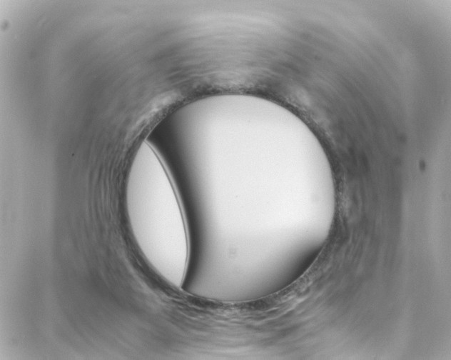 X0000088420115200705220847