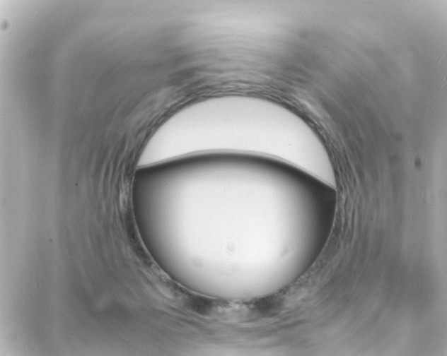 X0000088420125200705220847