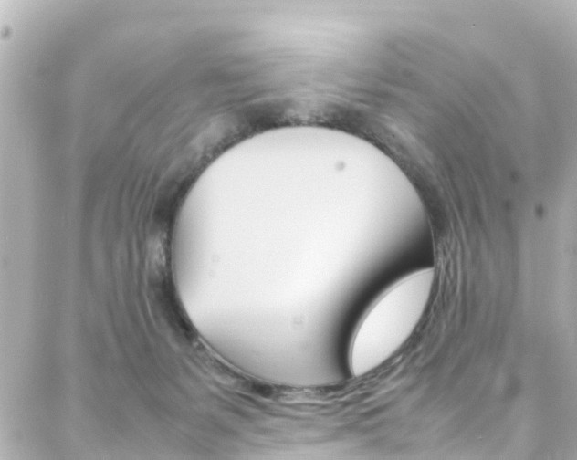 X0000088420127200705220847