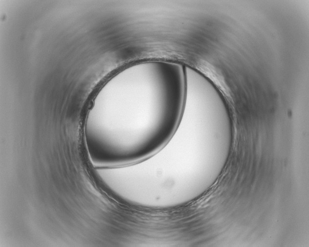 X0000088420156200705220846