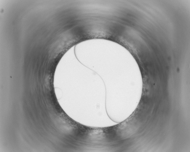 X0000088420162200705220846