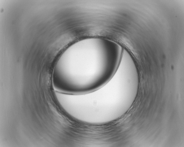 X0000088420164200705220846