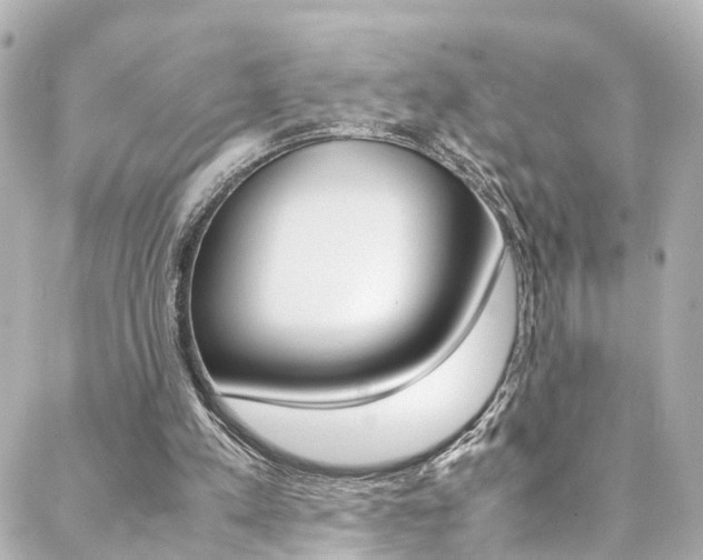 X0000088420197200705220845