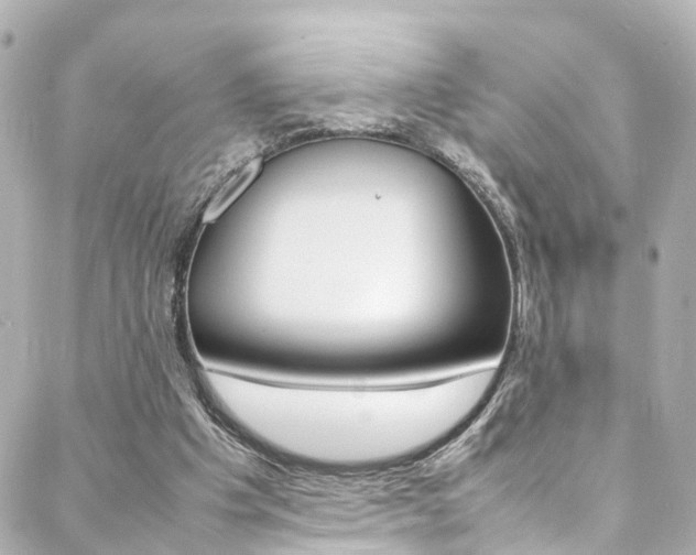X0000088420201200705220845