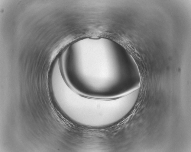 X0000088420244200705220844