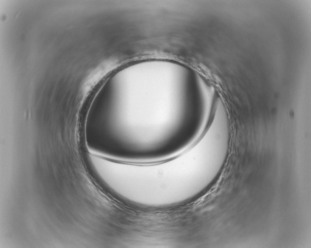 X0000088420248200705220844