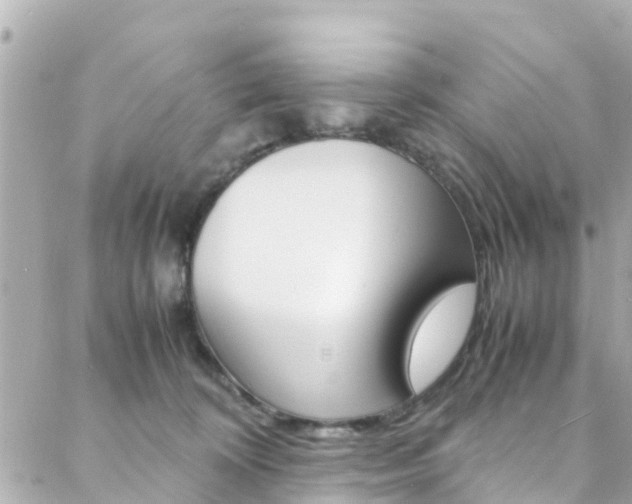 X0000088420324200705220843
