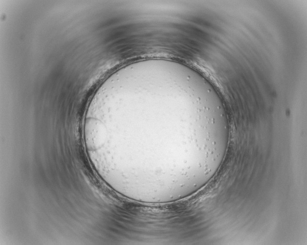 X0000088420347200705220843