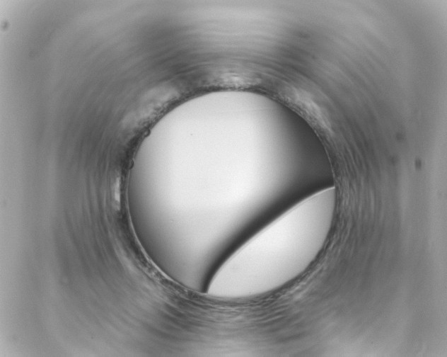 X0000088420358200705220843