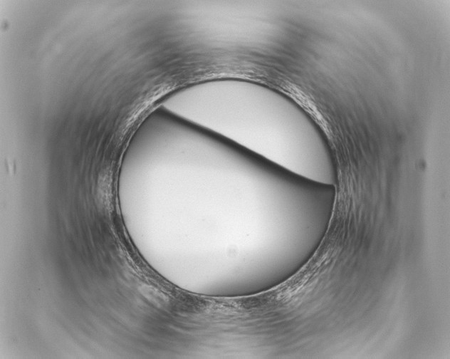 X0000088420386200705220842