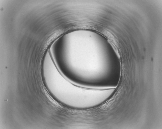 X0000088420389200705220842