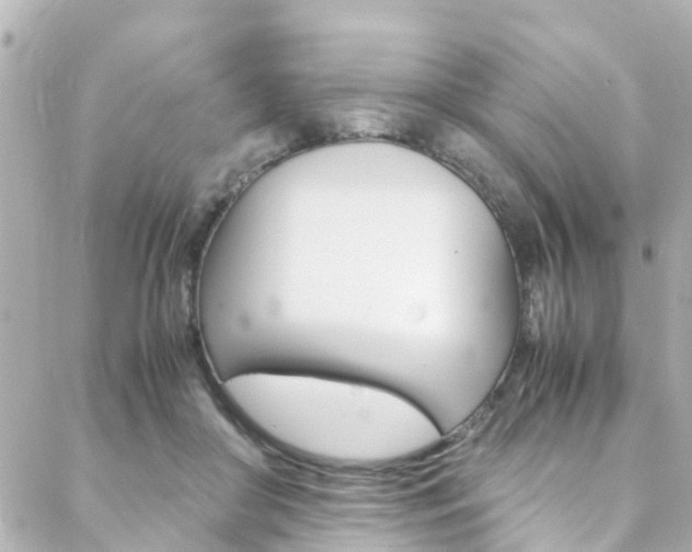 X0000088420410200705220842
