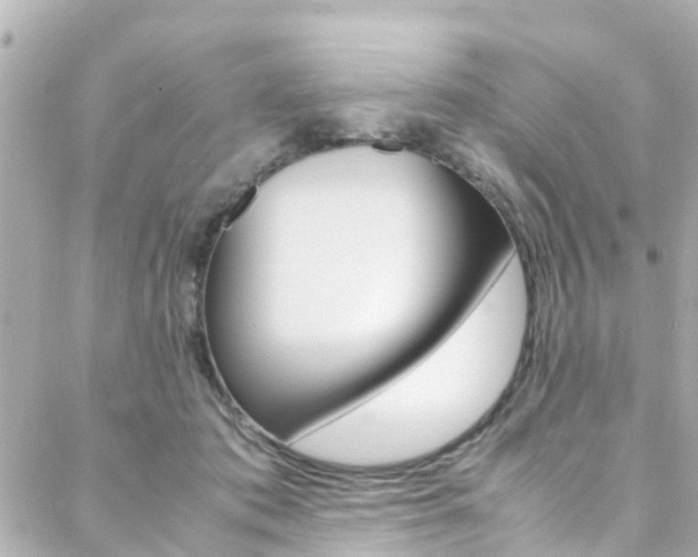 X0000088420413200705220842