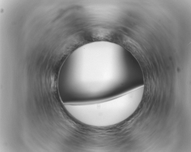 X0000088420420200705220842