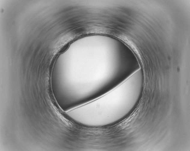 X0000088420437200705220841