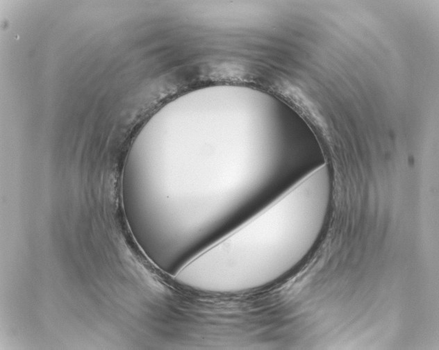 X0000088420449200705220841