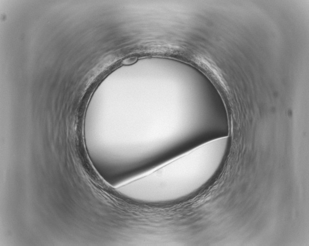 X0000088420483200705220841