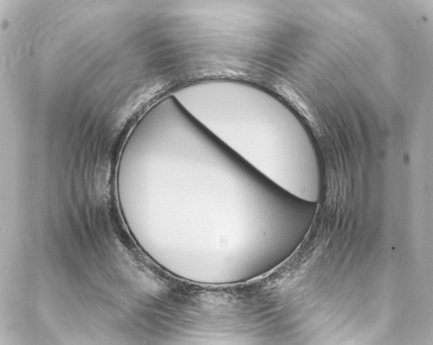 X0000088420490200705220841