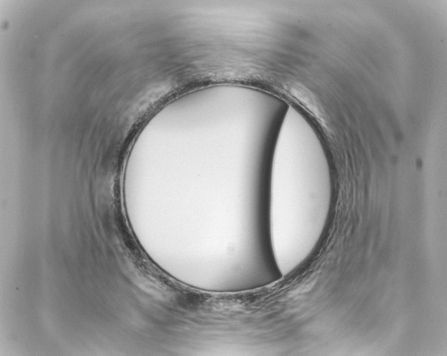 X0000088420491200705220841