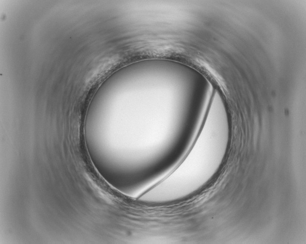 X0000088420493200705220841