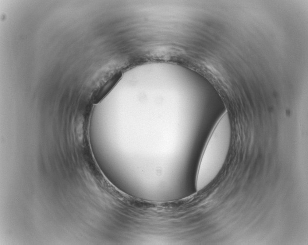 X0000088420504200705220840