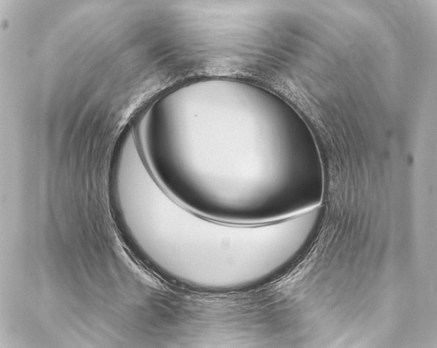 X0000088420530200705220839