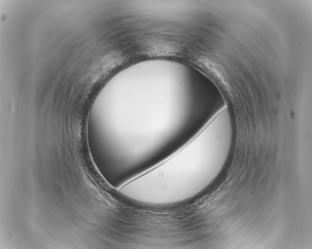 X0000088420539200705220839