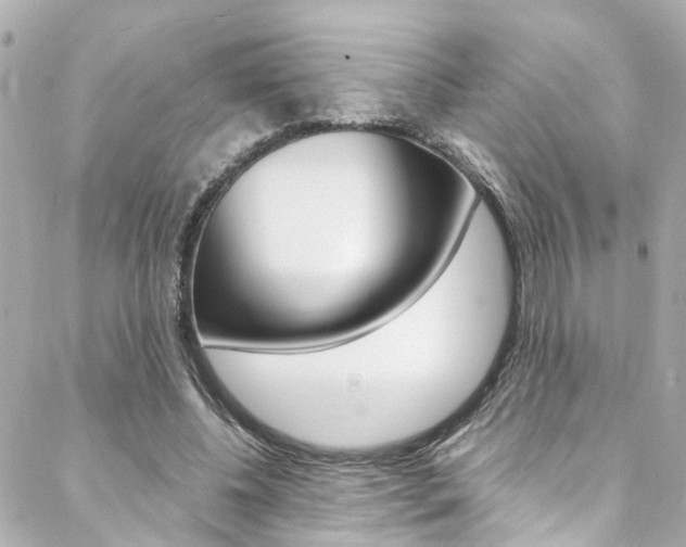 X0000088420540200705220839