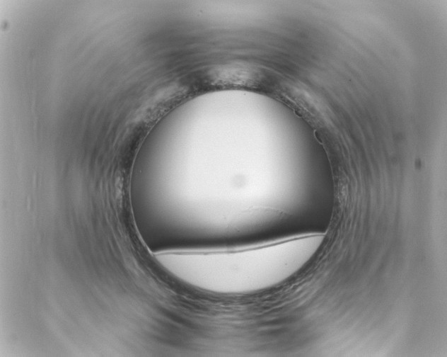 X0000088420551200705220840