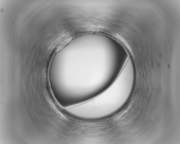 X0000088420581200705220839