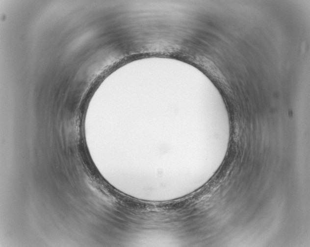 X0000088420632200705220838