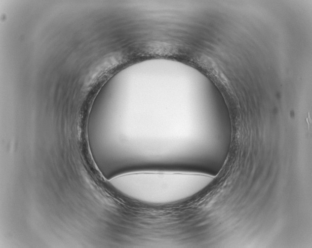 X0000088420635200705220838