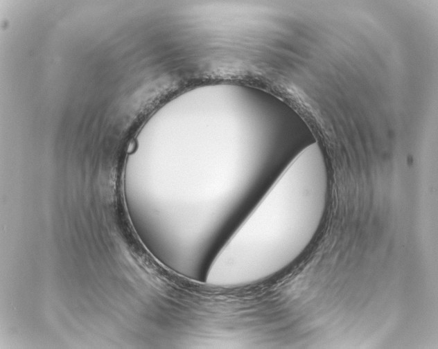 X0000088420640200705220838