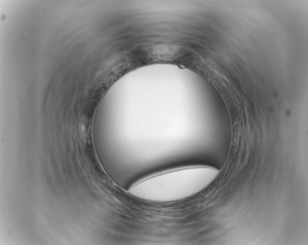 X0000088420655200705220838