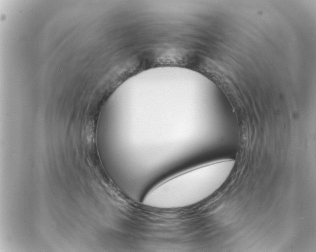 X0000088420665200705220838