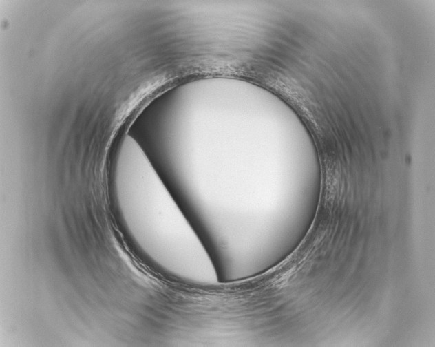 X0000088420674200705220838