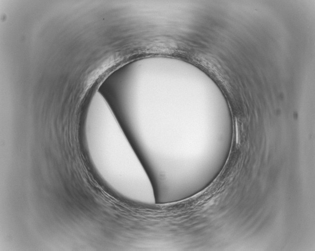 X0000088420675200705220838