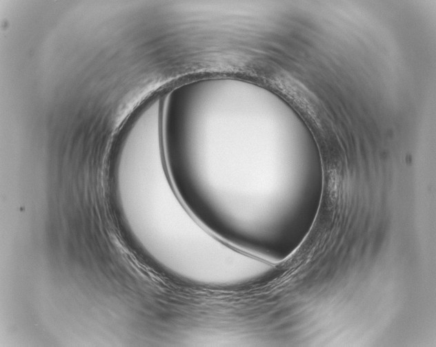 X0000088420676200705220838