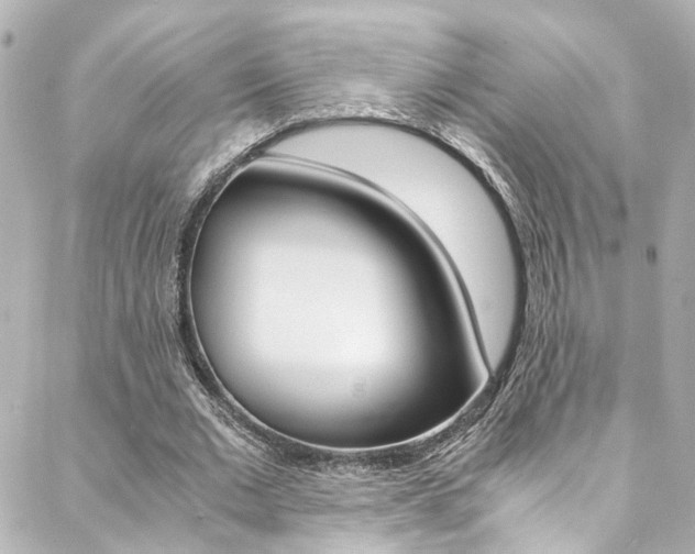 X0000088420677200705220838