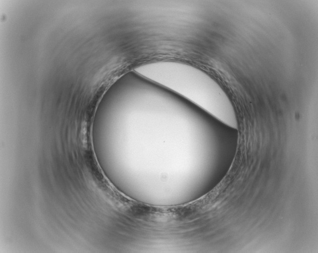 X0000088420696200705220837